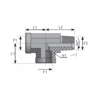 Tee Adapter fixed female BSPP – fixed female BSPP – male BSPT. (TFFG..MGK..B)